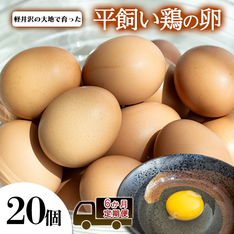 【ふるさと納税】卵20個　6か月定期便