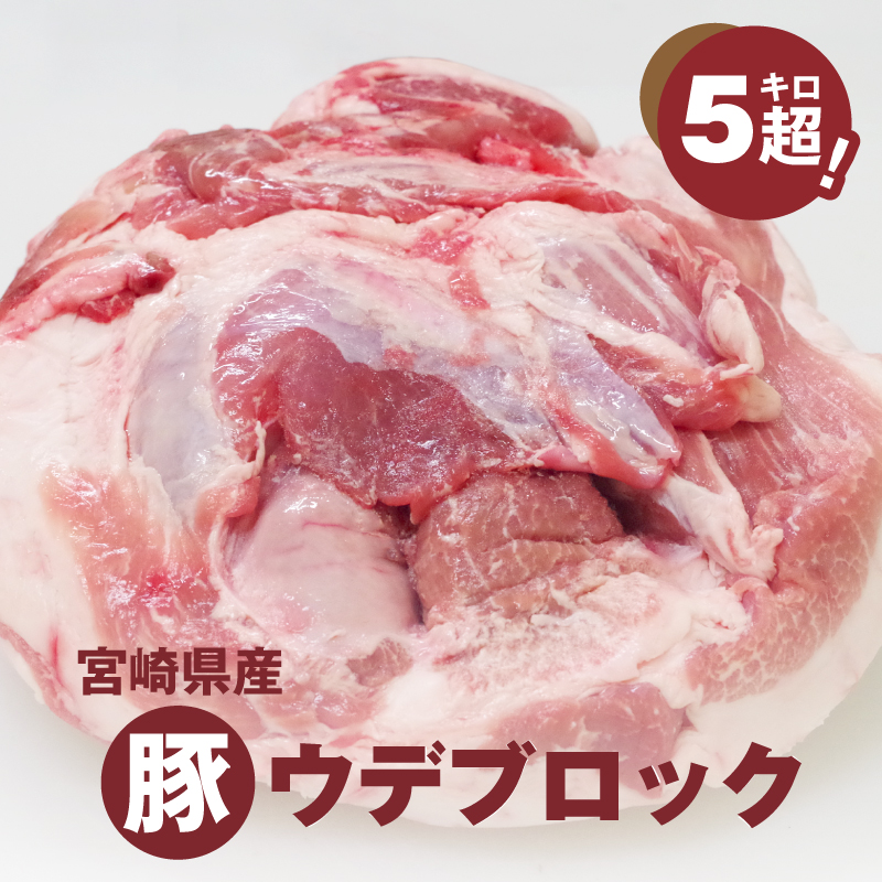 宮崎県産豚ウデブロック５kg超 国産豚肉 ウデ肉 かたまり肉 5キロ 冷凍 大容量 ブロック肉 塊肉 大きい お好みにカットできる 届いたらご自宅でカット 送料無料 K16_0014_10