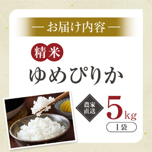 ゆめぴりか精米5kg(5kg×1袋) 令和7年産_05292