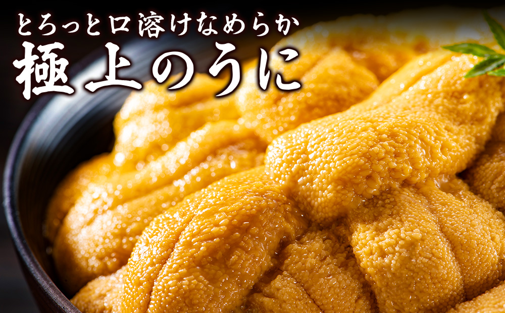【うにの名産地稚内市】最北端の生むらさきうに(100g×1)　