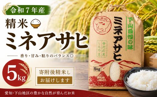 【令和７年産】精米「ミネアサヒ」5ｋｇ | ミネアサヒ 令和7年産 精米 5kg 白米 米 お米 国産米 ブランド米 単一原料米 ごはん おにぎり お弁当 ご家庭用 新米 愛知県産 愛知県 豊田市