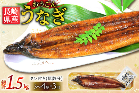 うなぎ 国産 蒲焼 長崎県産 おうごんうなぎ 約500g 3尾～4尾 3回 定期便 総計 約1.5kg