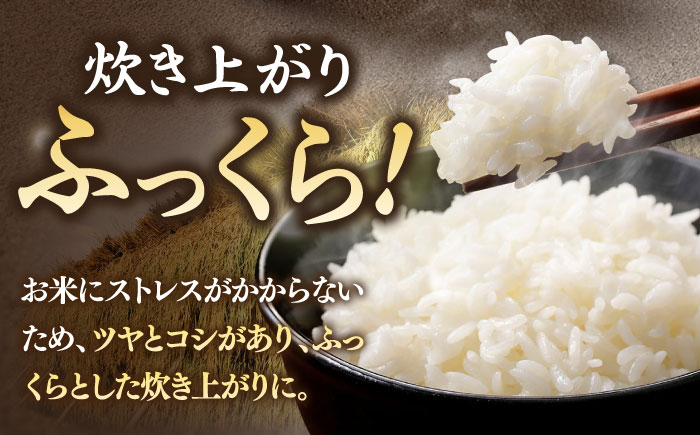 つや姫 5kg 《壱岐市》 【長米壱岐営業所】[JCZ022] 米 お米 白米 精米 1等米 5キロ ごはん ご飯 特別栽培米 9000 9000円