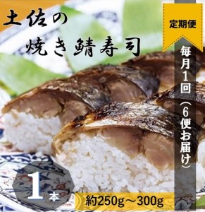 【定期便】土佐の焼きサバ寿司（１本×６回発送）７切れ 総量約250g～300g 特選鯖寿司惣菜 おかず 鯖寿司 さば寿司 焼き鯖寿司 焼きさば寿司 さば 鯖 お寿司 すし 魚介類【J00230】