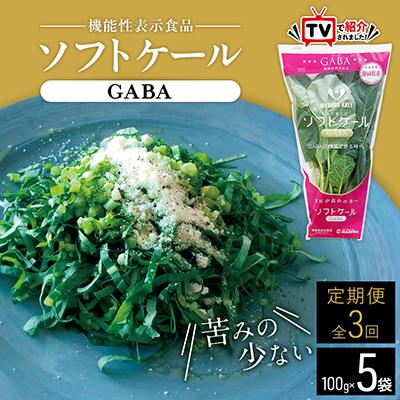 ふるさと納税 磐田市 【毎月定期便】TV紹介で大好評 ソフトケール 100g×5袋 健康 腸活応援 スムージー 全3回
