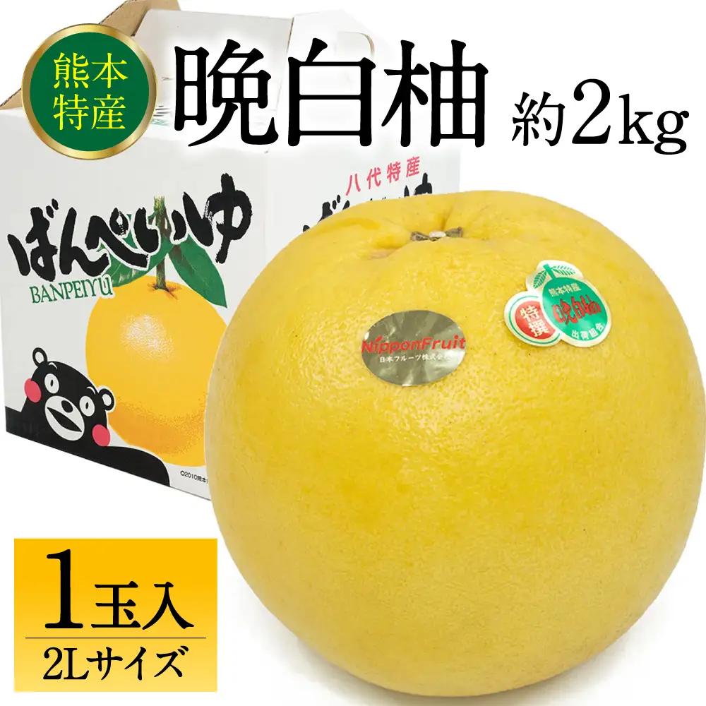 【先行予約】 晩白柚 ばんぺいゆ 2Lサイズ 1玉 約2kg 晩白柚 柑橘 【2026年12月上旬より順次発送】