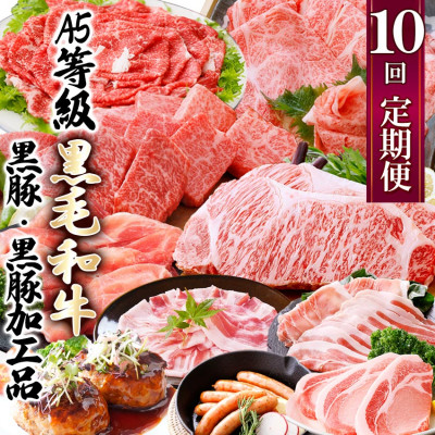 定期便(1年で10回配送)枕崎お楽しみ便(A5等級黒毛和牛・黒豚・黒豚加工品etc) II−6002【1166753】