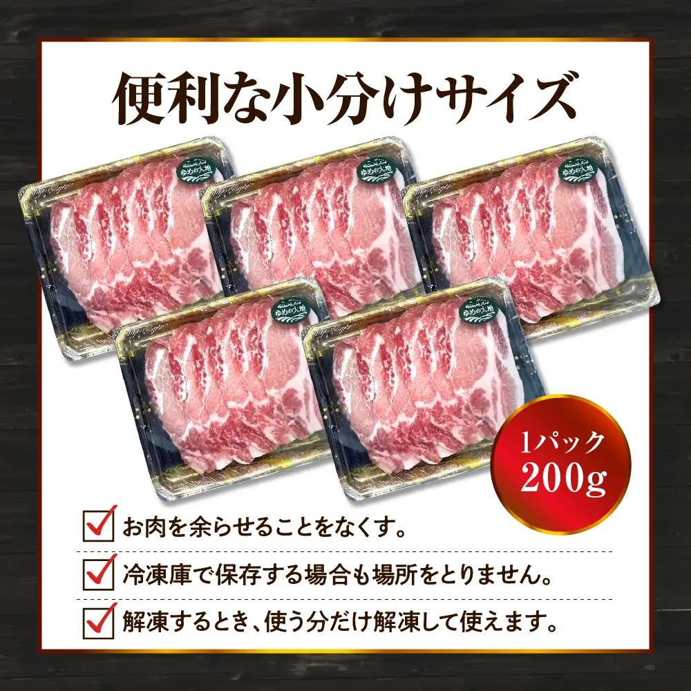 【えりも町生まれ 四元豚】ゆめの大地 豚 ロース スライス 3kg