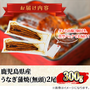 【0124314a-1W】<翌週までに発送>東串良町のうなぎ蒲焼(無頭)(2尾・計約300g・タレ、山椒付)うなぎ 高級 ウナギ 鰻 丑の日 国産 蒲焼 蒲焼き たれ 鹿児島 ふるさと 人気【アクアお