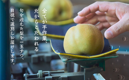 《先行予約》朝倉さんの『小島梨』 3kg　~ 9玉 幸水 凛夏 秋麗 あきづき 甘太 など 梨 梨 梨 梨 梨 梨 梨 梨 梨 梨 梨 梨 梨 梨 梨 梨 梨 梨 梨 梨 梨 梨 梨 梨 梨 梨 梨 