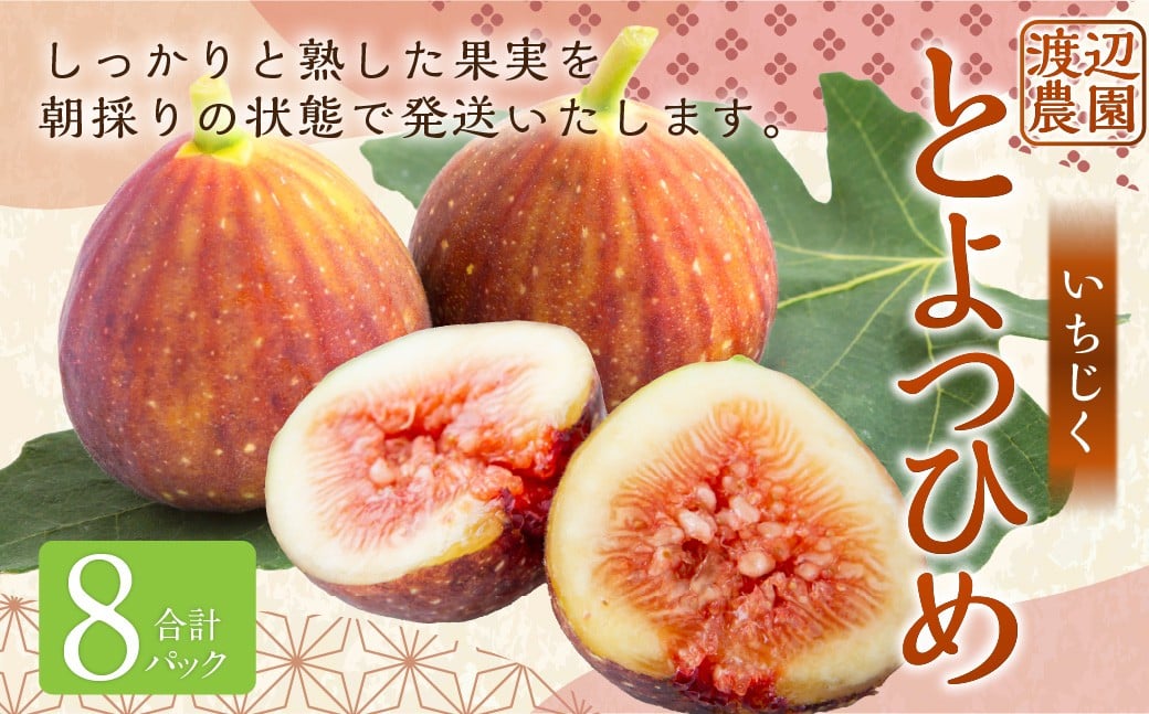 いちじく（とよみつひめ）8パック【2026年7月下旬～8月下旬発送予定】 いちじく フルーツ 果物 くだもの 冷蔵 福岡県 うきは市