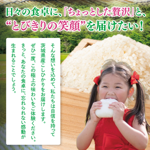 【数量限定】【令和7年産】【３ヵ月定期便】美味追求 茨城県産こしひかり 5kg×3 (NA-2)