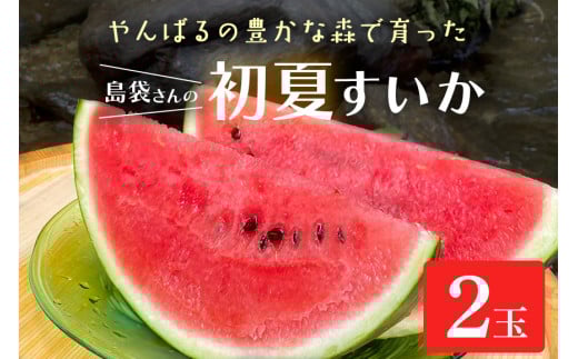 ＜2025年5月～6月頃の発送＞島袋さんの夏スイカ大玉 2玉(1玉あたり5.0～7.0kg)【1577673】