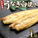 【ふるさと納税】高知県産うなぎ白焼き 1尾(約120g)(無頭) - 送料無料 鰻 ウナギ 魚介 山椒塩 惣菜 おかず のし ギフト お礼 御礼 感謝 贈答 贈り物 プレゼント 丑の日 国産 敬老の日 うなぎ屋きた本 高知県 香南市【冷凍】un-0008