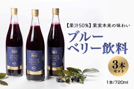 果汁50％ブルーベリー飲料3本セット ブルーベリー ブルーベリー飲料 フルーツ 果物 フルーツジュース ジュース ビタミンE アントシアニン 栄養 目にいい 健康 美容 瞳の健康 ギフト 贈り物 茨城県産 人気 プレゼント セット ドリンク 9-A