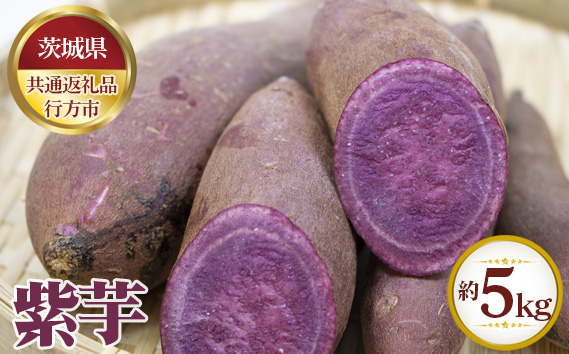 
No.623 【先行予約】紫芋　約5kg【茨城県共通返礼品 行方市】 ／ 野菜 さつまいも いも 茨城県
