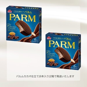 アイスクリーム PARM パルム チョコレート&チョコレート 厳選カカオ仕立て 6本入×2箱 12本 アイスバー チョコレート チョコレートアイス チョコ アイス セット お歳暮 贈答品 ギフト アイ