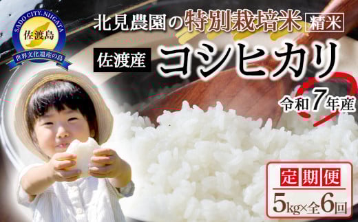
            【令和7年産】＜米 定期便 全6回＞北見農園の特別栽培米 佐渡産コシヒカリ（5kg×全6回）農家自慢の逸品 精米
          