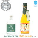 【ふるさと納税】愛媛県初のみかんジン誕生！「PACHIPACHI ジン（クラフトジン）」と「愛媛みかんde酒（リキュール）」セット　★近藤酒造★