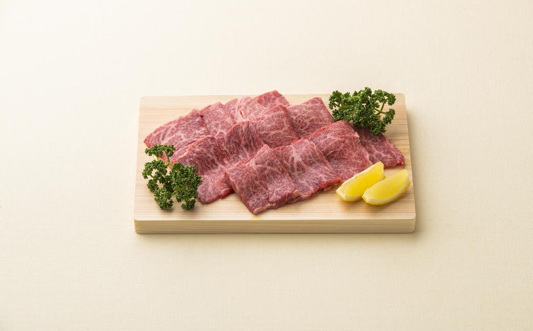 【全12回定期便】長崎和牛 焼肉 カルビ 約500g ／ 合計6kg 国産 肉 牛肉 和牛 お肉 長崎県 長崎市