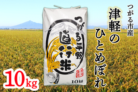 令和7年産 つがる市産「津軽のひとめぼれ」10kg｜2025年産 青森県 津軽 お米 白米 米 コメ こめ ひとめぼれ 精米 新米 [0894]
