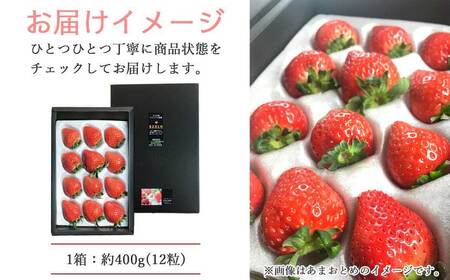 いちご 「あまおとめ」 または 「紅い雫」 約400g ichigo okabe 【期間限定】【3月頃より発送】