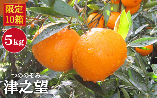 
                  【1月上旬より順次配送】 津之望 （つののぞみ）みかん 約5kg 長崎 西海 みかん ミカン 柑橘 贈答 ギフト 限定 ＜原口果樹園＞ [CCW009]
                