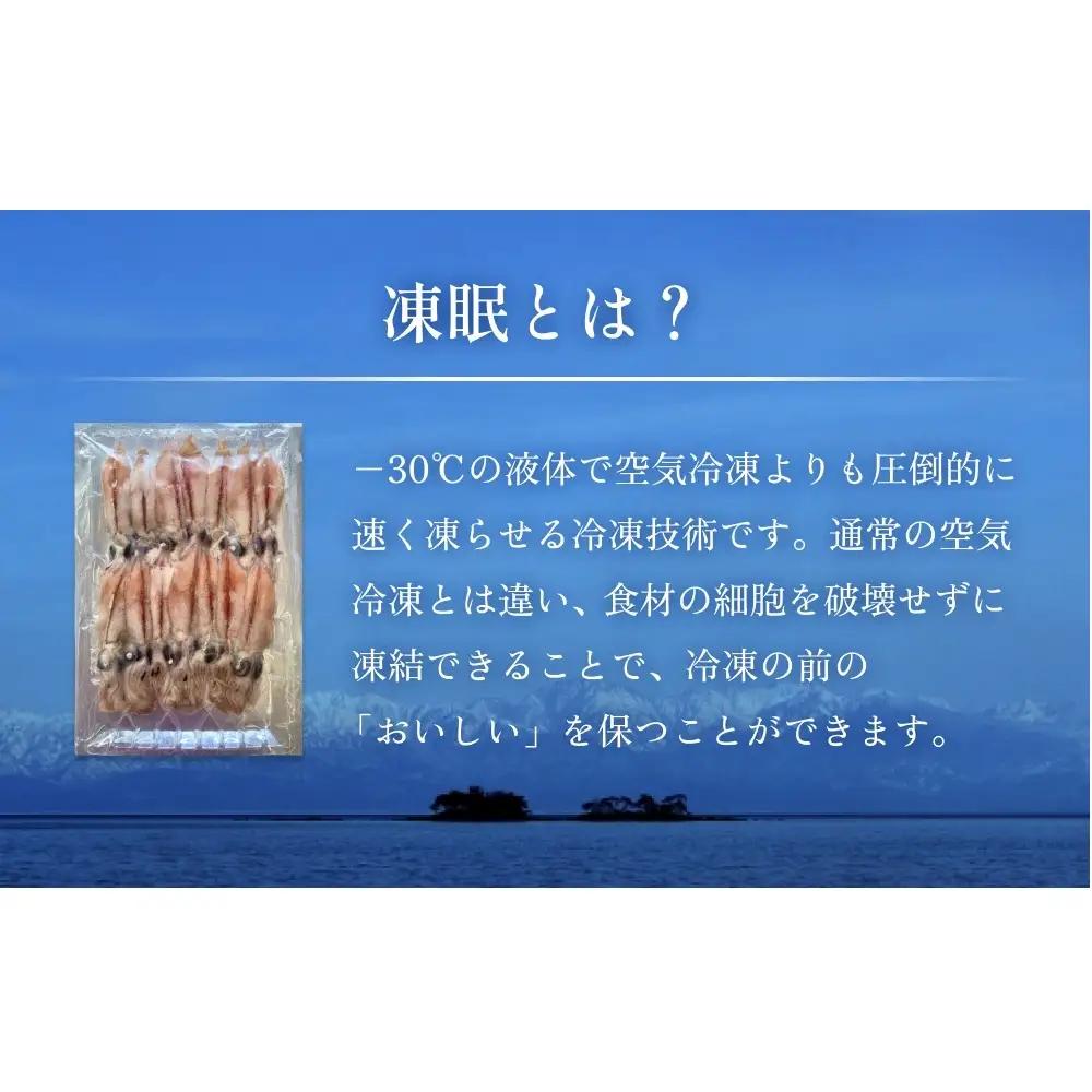 生冷凍ホタルイカ（凍眠） 300g 富山県 氷見市 ほたるいか しゃぶしゃぶ 冷凍　ホタルイカ
