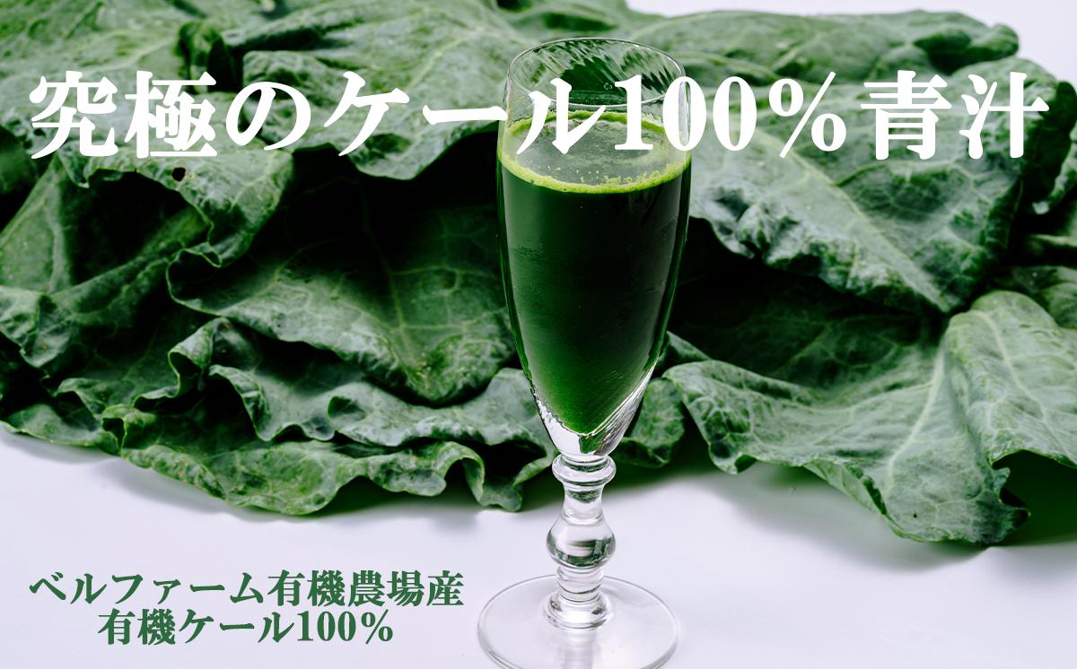 プレミアム有機青汁 100g × 30 パック 【 6ヵ月定期便 】＜離島・沖縄配送不可＞【 茨城県 つくば市 飲料 ドリンク あおじる 青汁 健康  無添加 有機 オーガニック 】