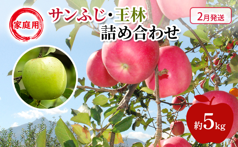 
            [№5554-0221]りんご 【 2月発送 】 家庭用 サンふじ ・ 王林 詰め合わせ 約 5kg
          