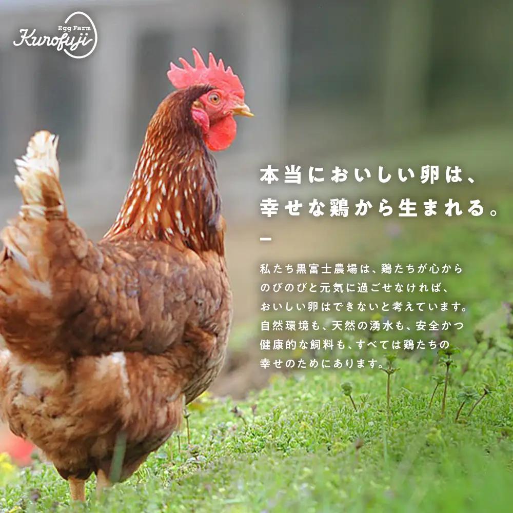 【10ヵ月定期便】リアルオーガニック卵 18個×10ヶ月 卵定期便 有機JAS 山梨県 甲斐市 B-22