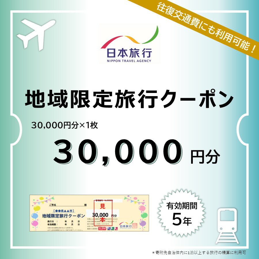 【ふるさと納税】日本旅行 地域限定旅行クーポン 30,000円 観光地応援 温泉 観光 旅行 ホテル 旅館 クーポン チケット 予約 株式会社日本旅行 奈良県 なら