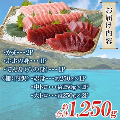 ふるさと納税 瀬戸内町 奄美大島産養殖クロマグロまるごと満喫セット(柵5P他) |  | 01