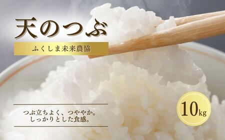 白米 10kg 天のつぶ 令和7年産  | 福島県産 ふくしま未来農協 JA