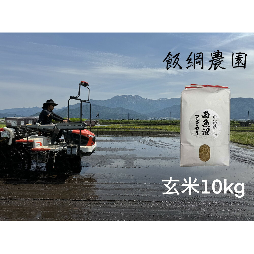 【ふるさと納税】【令和7年産】南魚沼産コシヒカリ 玄米10kg | お米 こめ 白米 食品 人気 おすすめ 送料無料