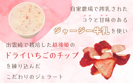 オリジナルジェラート（90ml 8個）越後姫 | ジェラート 新潟県 出雲崎町