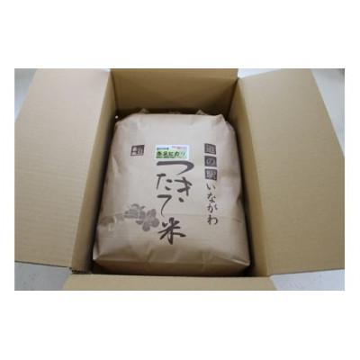 ふるさと納税 猪名川町 【毎月定期便】猪名川町のお米・キヌヒカリ(玄米)20kg×全3回 |  | 02