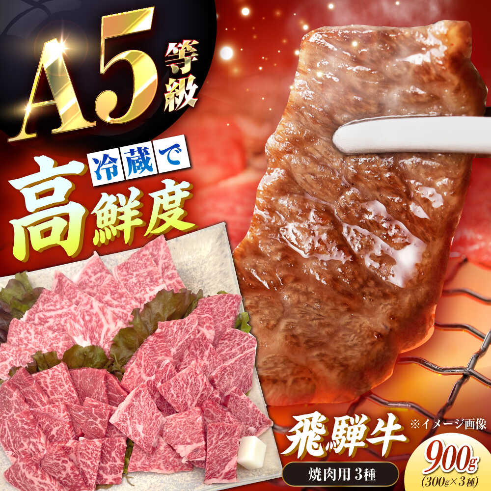 【ふるさと納税】【年内発送】【チルド（冷蔵）発送！】 牛肉 「飛騨牛」 A5等級 焼肉用3種盛り！ ロース・もも・バラ 各300g / 肉 お肉 にく牛肉 和牛 国産和牛 ブランド牛 お取り寄せ ステーキ 焼肉 おすすめ 人気 贈答用 ギフト 焼肉 /恵那市/東美濃農業協同組合[AUFX023]