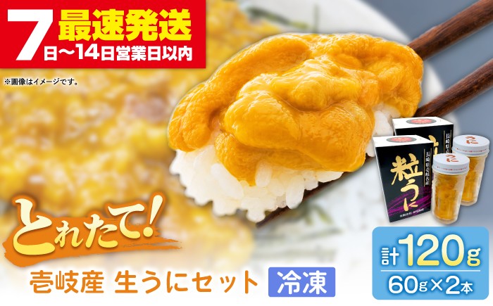 
                  生ウニ 2本セット 60g×2本セット《壱岐市》【本尾海産】[JAR003] 冷凍 ミョウバン不使用 紫うに 生うに ウニ うに 雲丹 ムラサキウニ 紫ウニ uni 瓶 瓶詰め 贈答 のし プレゼント ギフト 自宅用 おつまみ 肴 冷凍配送
                