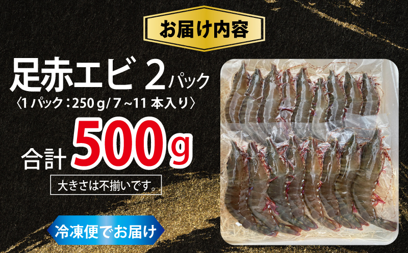 足赤エビ 500ｇ【国産 えび 天然 ぷりぷり 海鮮 水揚げ 生食可】 015B593_イメージ5