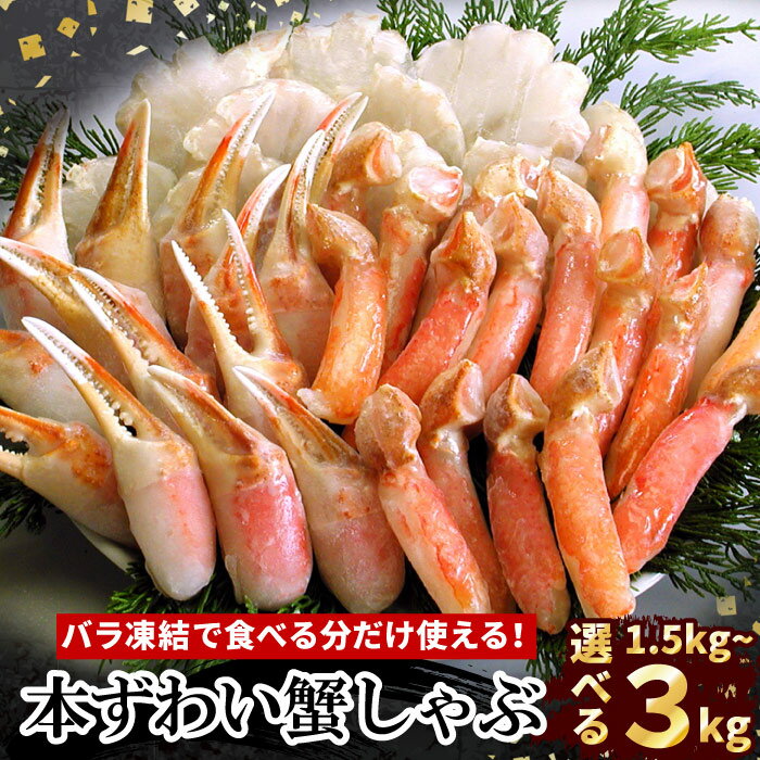 【ふるさと納税】お刺身・かにしゃぶ・かにステーキセット 選べる 1.5kg ～ 3kg 北海道 根室 ずわい蟹 ずわいガニ ズワイガニ 蟹 カニ しゃぶしゃぶ 鍋 殻むき 魚介 海鮮