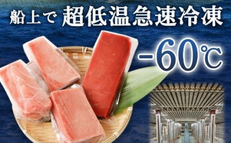 【定期便/計5回】天然マグロ（食べ比べ）【まぐろ】ge008 FN-Limited-PR