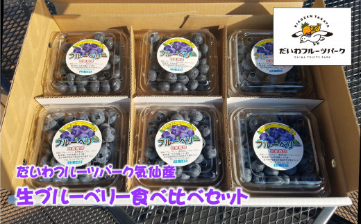 産地直送！ 生ブルーベリー 200g×6個 計1.2kg だいわフルーツパーク 【 果物 フルーツ ブルーベリー 品種おまかせ 食べ比べ 新鮮 】 RT2275