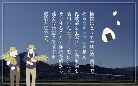 【自然にやさしいカルテック農法】但馬産コシヒカリ むすびの匠米 5kg【1232152】