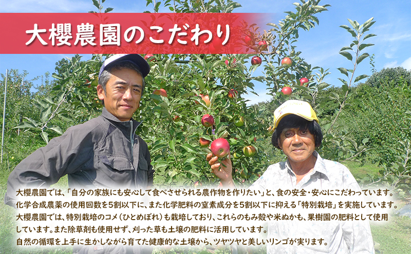 【大櫻農園】はるか 盛岡 完熟 りんご 約5kg（14～20玉 ）