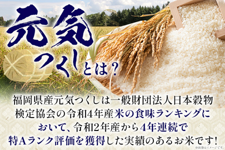 令和8年産 金のめし丸元気つくし精米５kg 元気つくし 福岡 お米 米 ごはん ご飯 お弁当 おにぎり 金のめし丸県産米 福岡ブランド米 めし丸 志免 志免町 福岡県