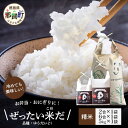 【ふるさと納税】令和6年産 新米 徳島県那賀町産 ぜったい米(こめ)だ 2合×1袋・6合×1袋・5kg×1袋セット ゆうだい21【徳島 那賀町 国産 米 お米 白米 精米 徳島県産 国産米 高級米 単一原料米 お弁当 おにぎり 贈物 プレゼント お中元 お歳暮 ギフト 産地直送】ZP-7