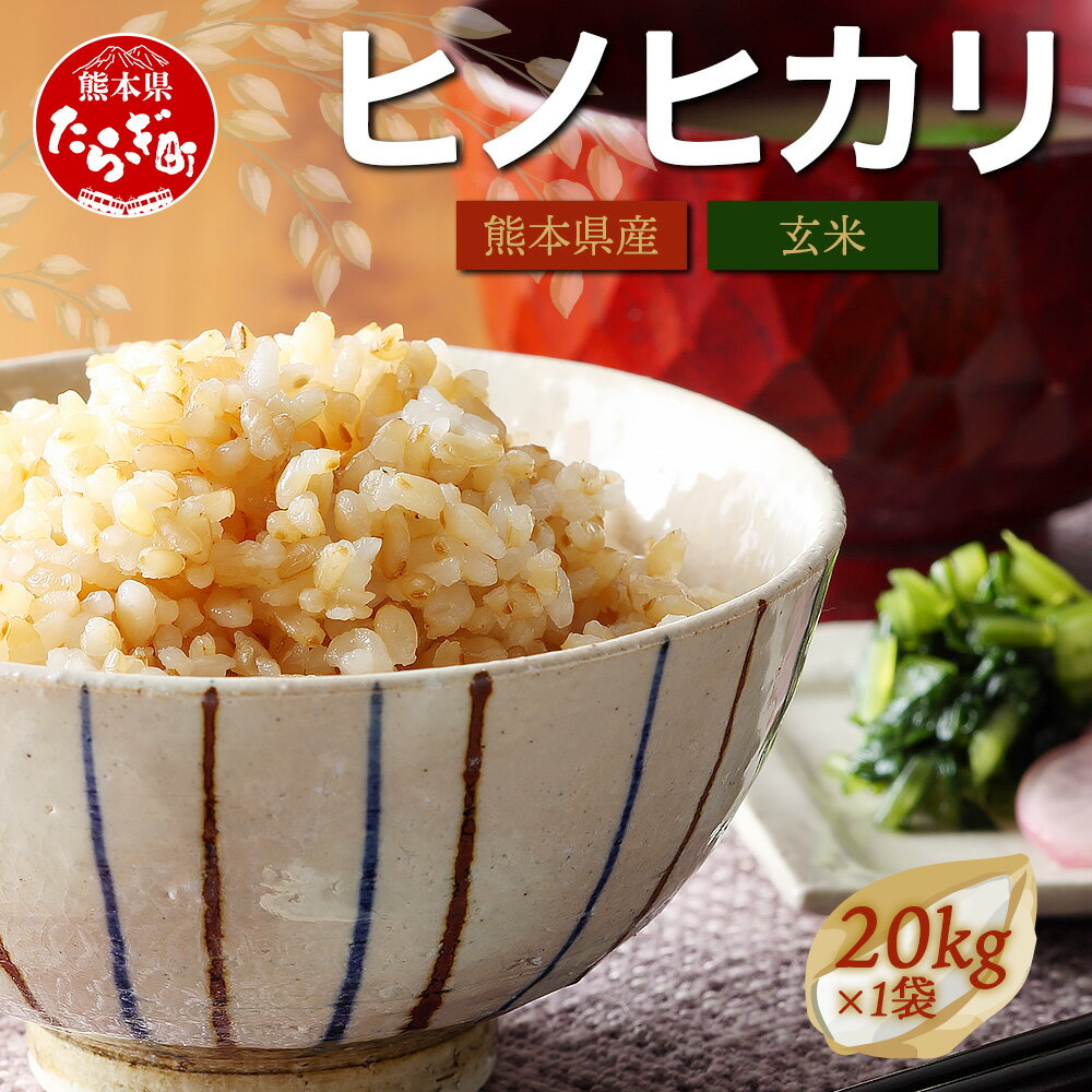 【ふるさと納税】令和7年産 新米 玄米 『ヒノヒカリ 』20kg お米 ひのひかり 20キロ 多良木町産 米 10月中旬から発送予定 艶 粘り 甘み うま味 もちもち 熊本のお米 玄米 げんまい ミネラル 20 送料無料