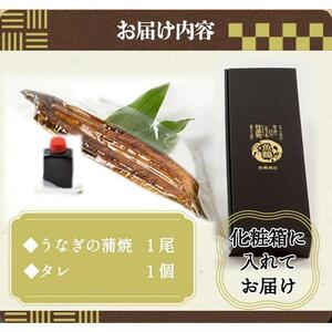 大型サイズ 　ふっくら柔らか国産うなぎ蒲焼き　１尾（約２人前）化粧箱入