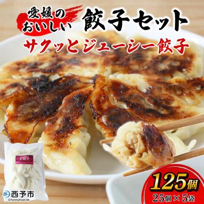 ふるさと納税 西予市 &lt;愛媛のおいしい餃子セット サクッとジューシー餃子 125個(25個×5袋)&gt;